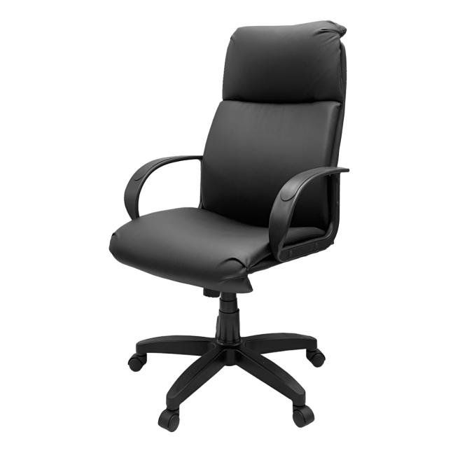 kreslo-rukovoditelya-kr-66_736