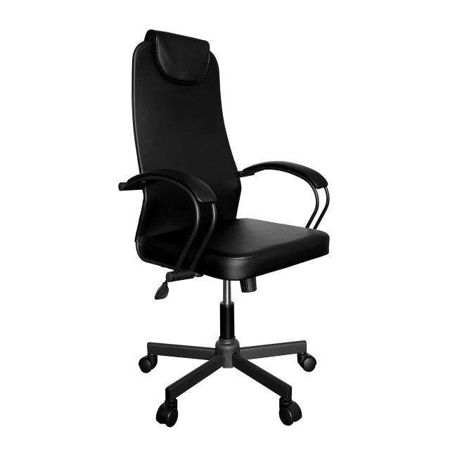 kreslo-rukovoditelya-kr-80_770