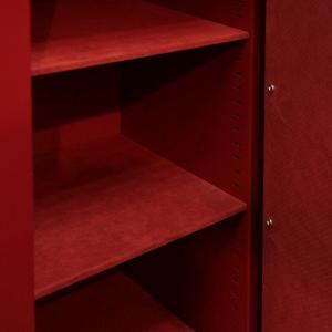 Сейф взломостойкий Burg–Wachter MTD 48 E lak