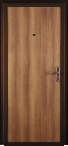 Дверь металлическая ЛИДЕР