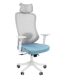 CHAIRMAN_563W_1