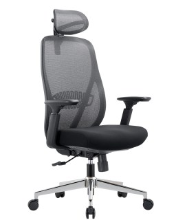 CHAIRMAN_585_1