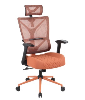 CHAIRMAN_CH566_1