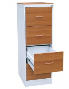 shkaf-kartotechnyj-shk-4-s-fasadom-iz-ldsp-1